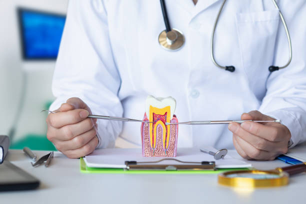 Best Broken or Chipped Tooth Repair in Island City, OR